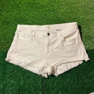 woman's shorts